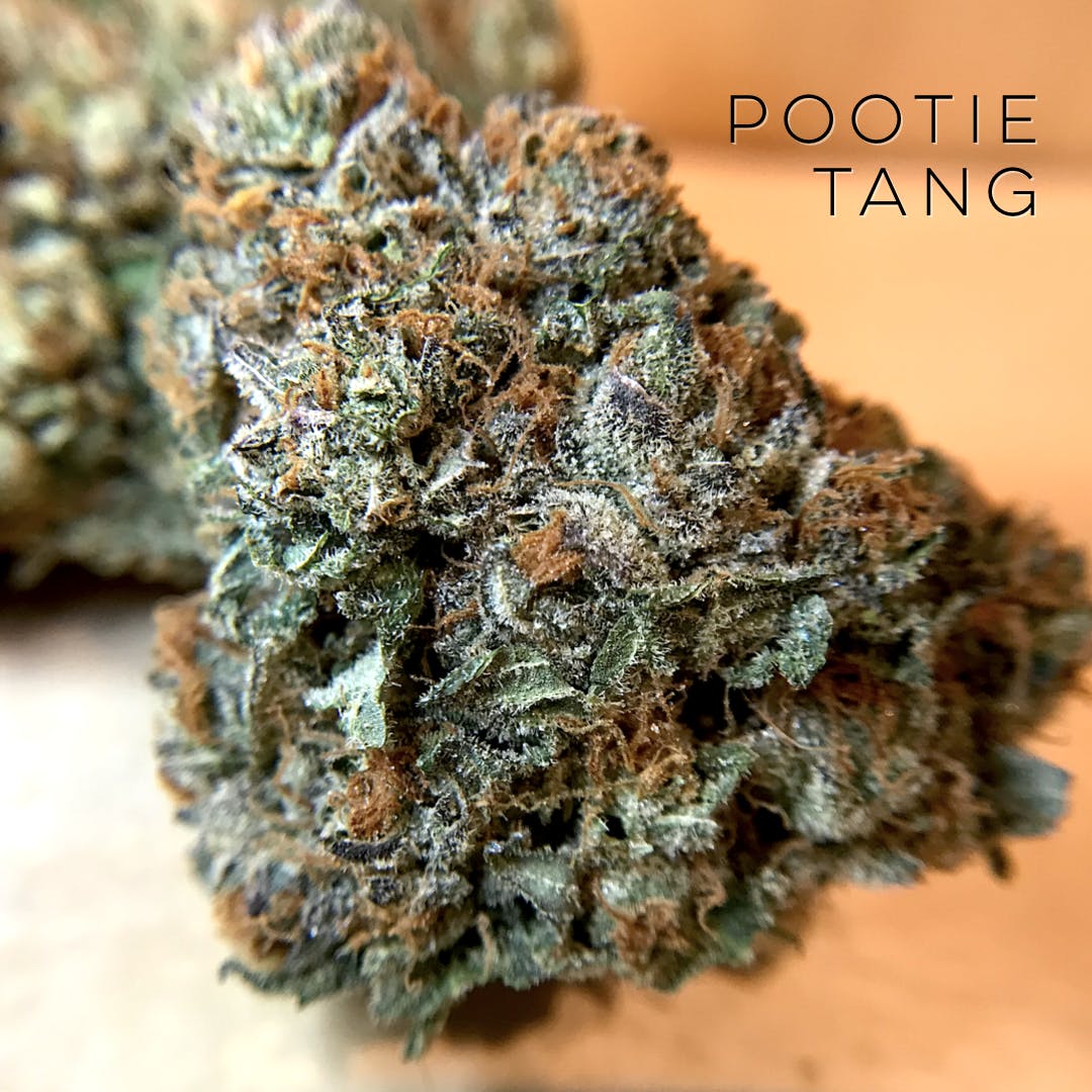 Pootie Tang - from GrassRoots