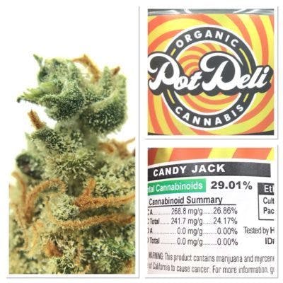 Pot Deli - Candy Jack [29%]