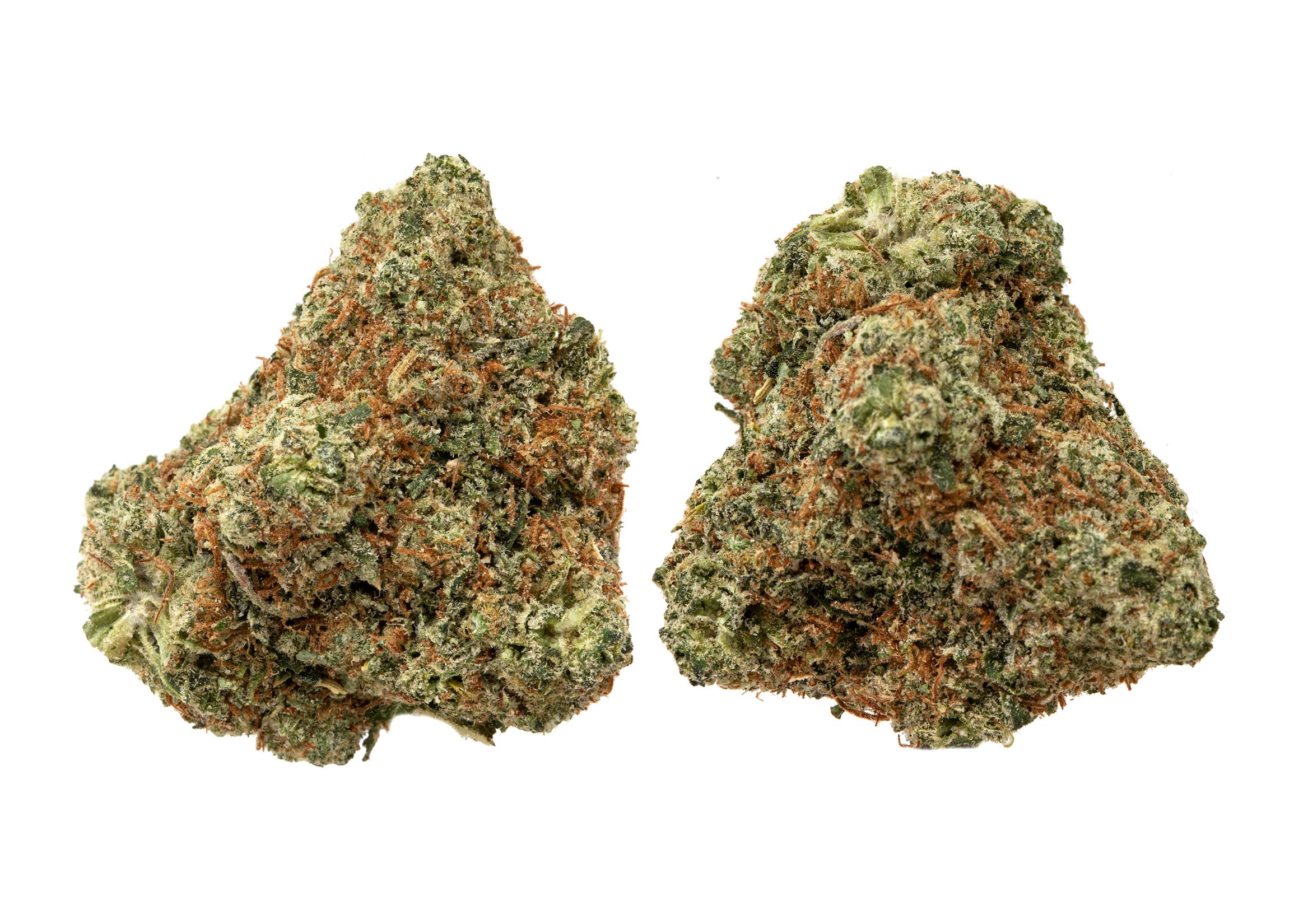 marijuana-dispensaries-1834-newport-blvd-unit-c-costa-mesa-power-og