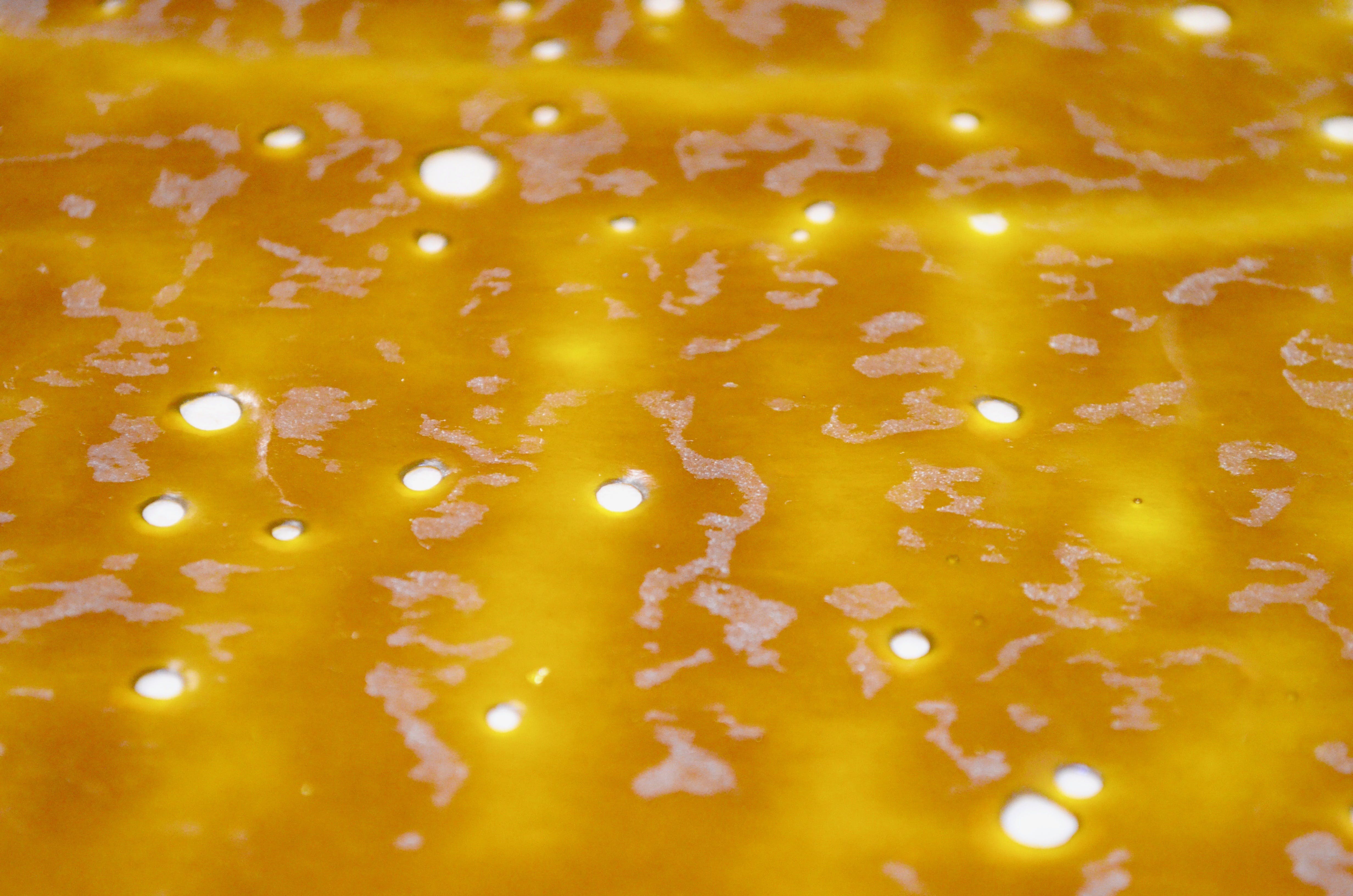 concentrate-power-plant-shatter-1g