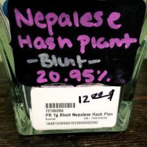PR 1g Blunt Nepalese Hash Plant