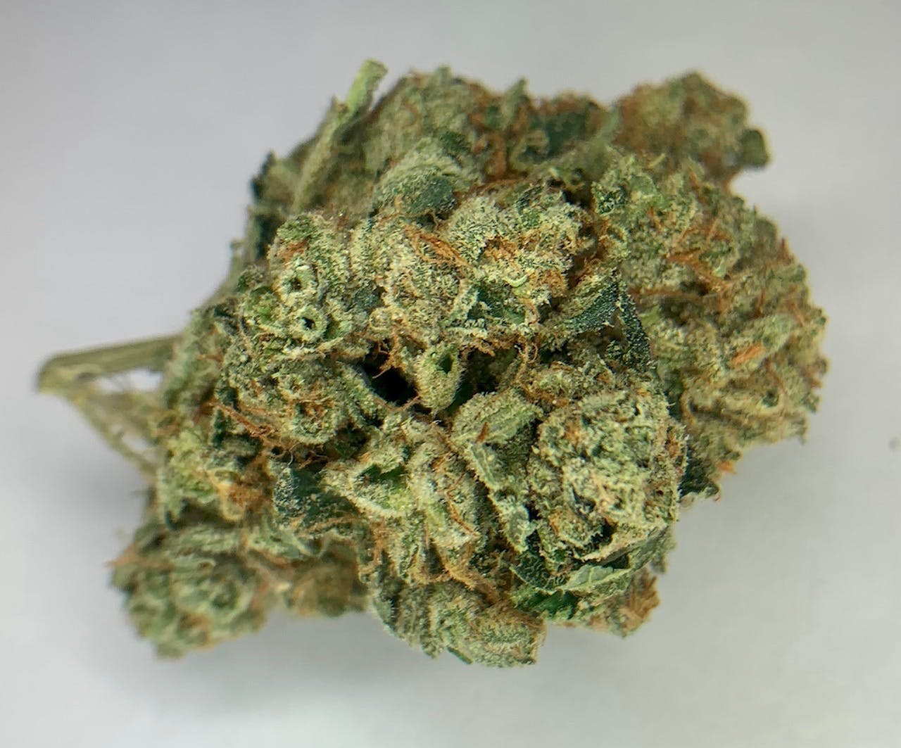 marijuana-dispensaries-549-n-western-ave-los-angeles-pr-bty-og
