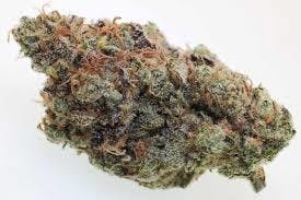 marijuana-dispensaries-6120-s-broadway-los-angeles-pr-mr-la