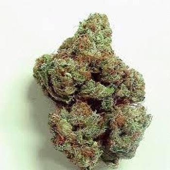 marijuana-dispensaries-6120-s-broadway-los-angeles-pr-pablo-og