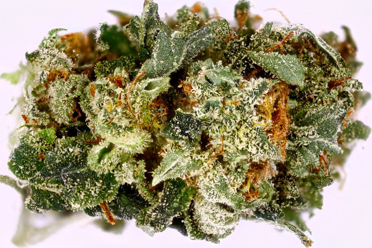 marijuana-dispensaries-6120-s-broadway-los-angeles-pr-private-reserve-og