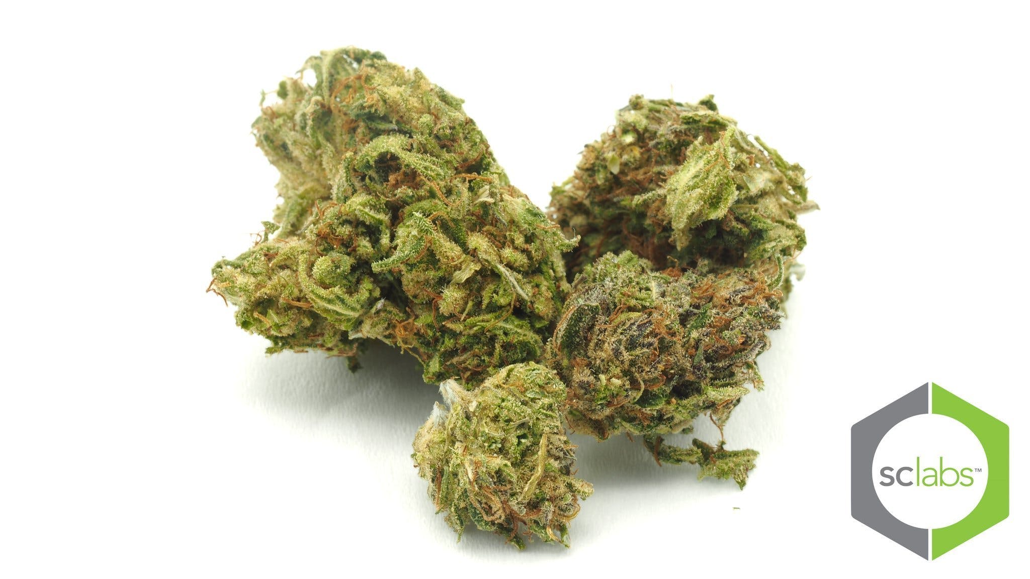 marijuana-dispensaries-green-garden-collective-in-los-angeles-pr-rolex-og
