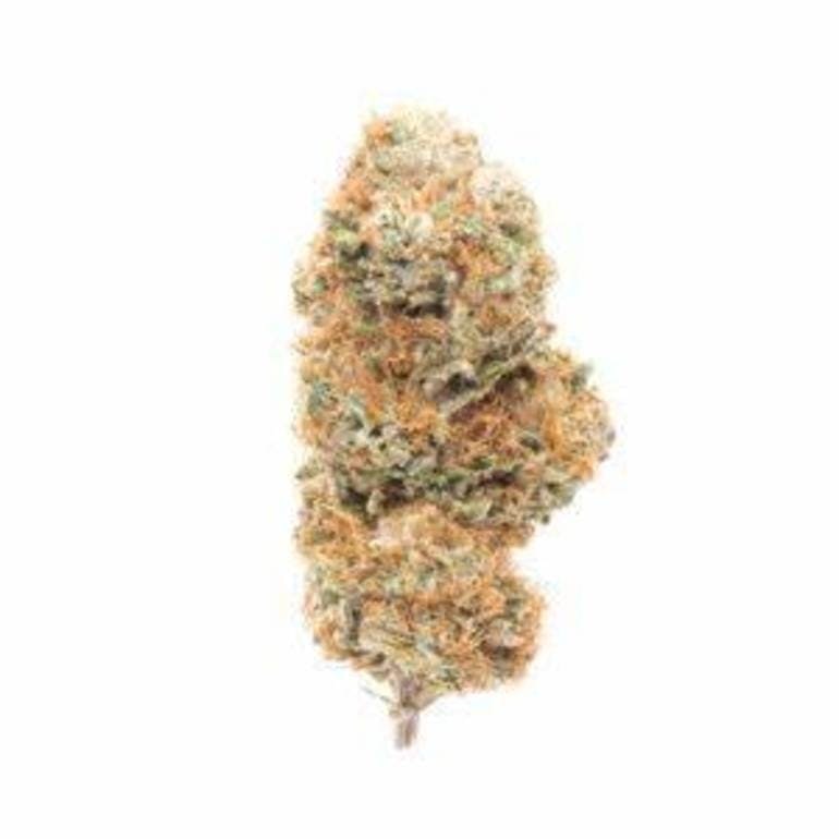 marijuana-dispensaries-2804-w-lincoln-ave-anaheim-premium-critical-mass
