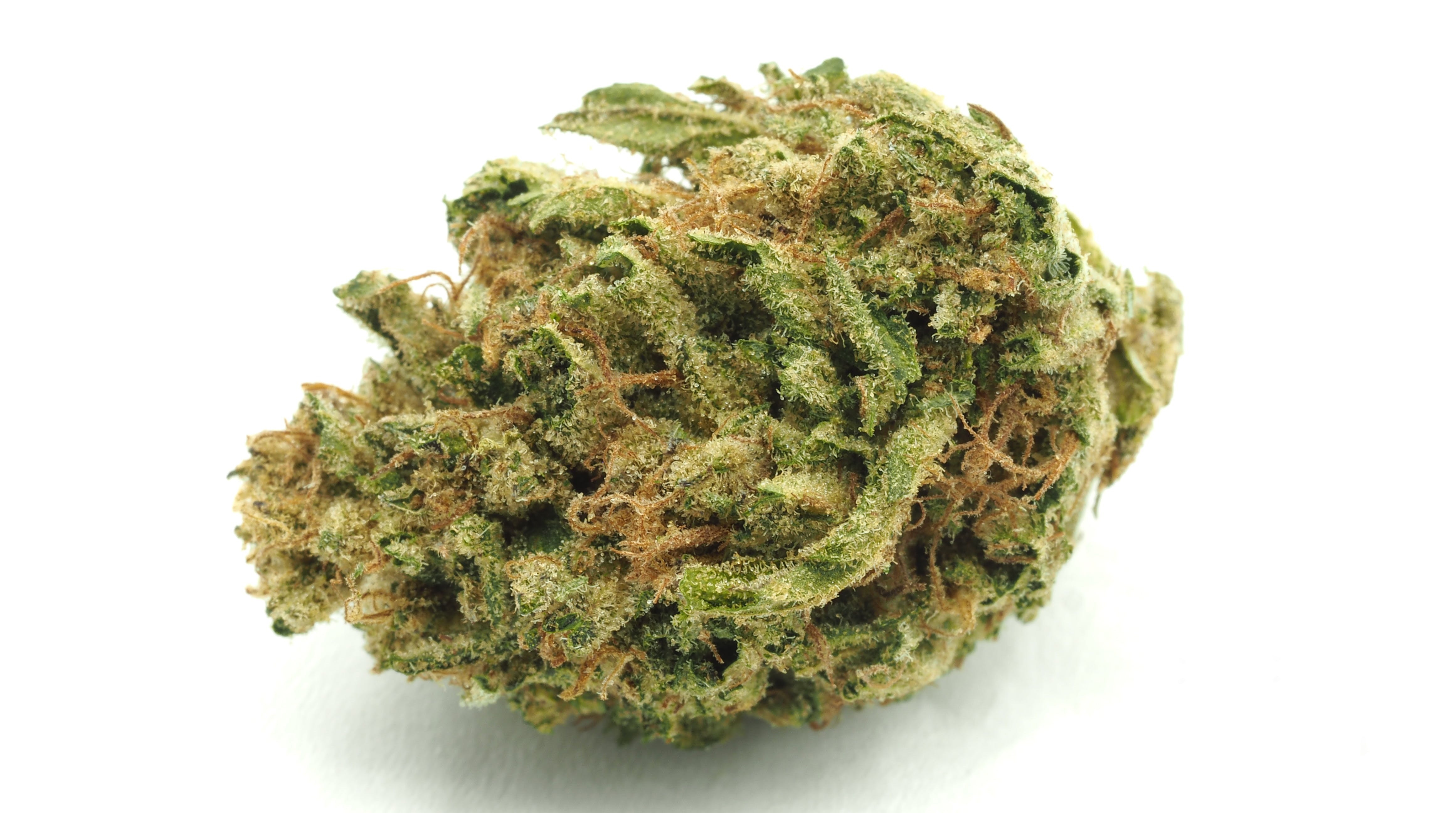 marijuana-dispensaries-4200-lincoln-blvd-marina-del-rey-premium-lemon-meringue-eighth