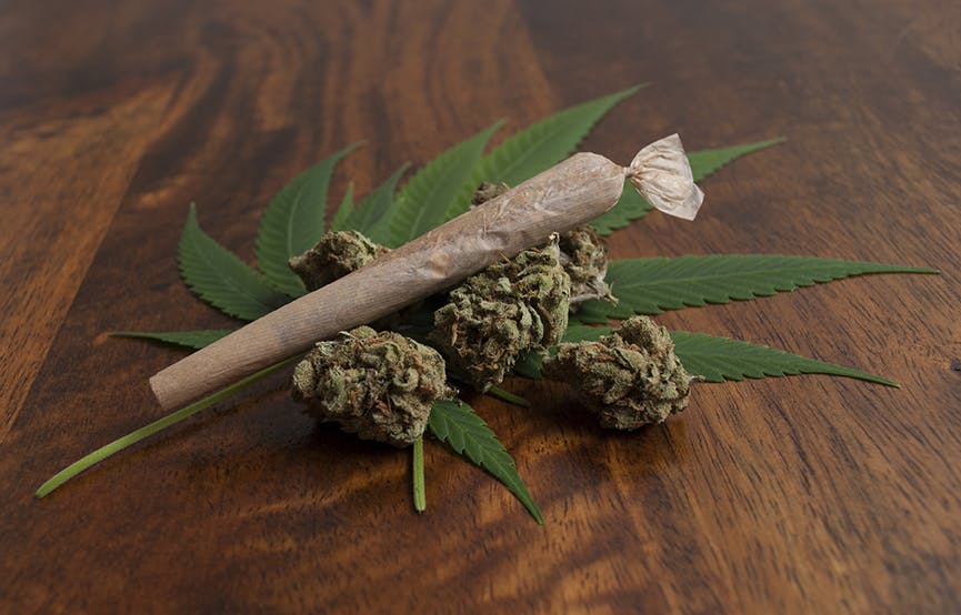 marijuana-dispensaries-herban-cannoisseur-in-waldoboro-premium-preroll