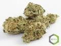 marijuana-dispensaries-11318-s-vermont-ave-los-angeles-premium-ar-legend-og-7g-40-35