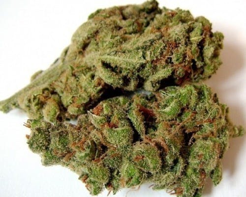 marijuana-dispensaries-11318-s-vermont-ave-los-angeles-premium-ar-pine-og-10g-40-35