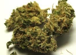 marijuana-dispensaries-11318-s-vermont-ave-los-angeles-premium-ar-trinity-og-5g-40-35