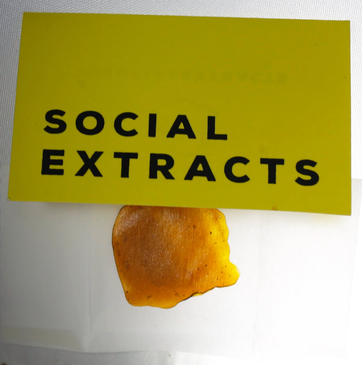wax-premium-shatter-social-extracts-royal-haze