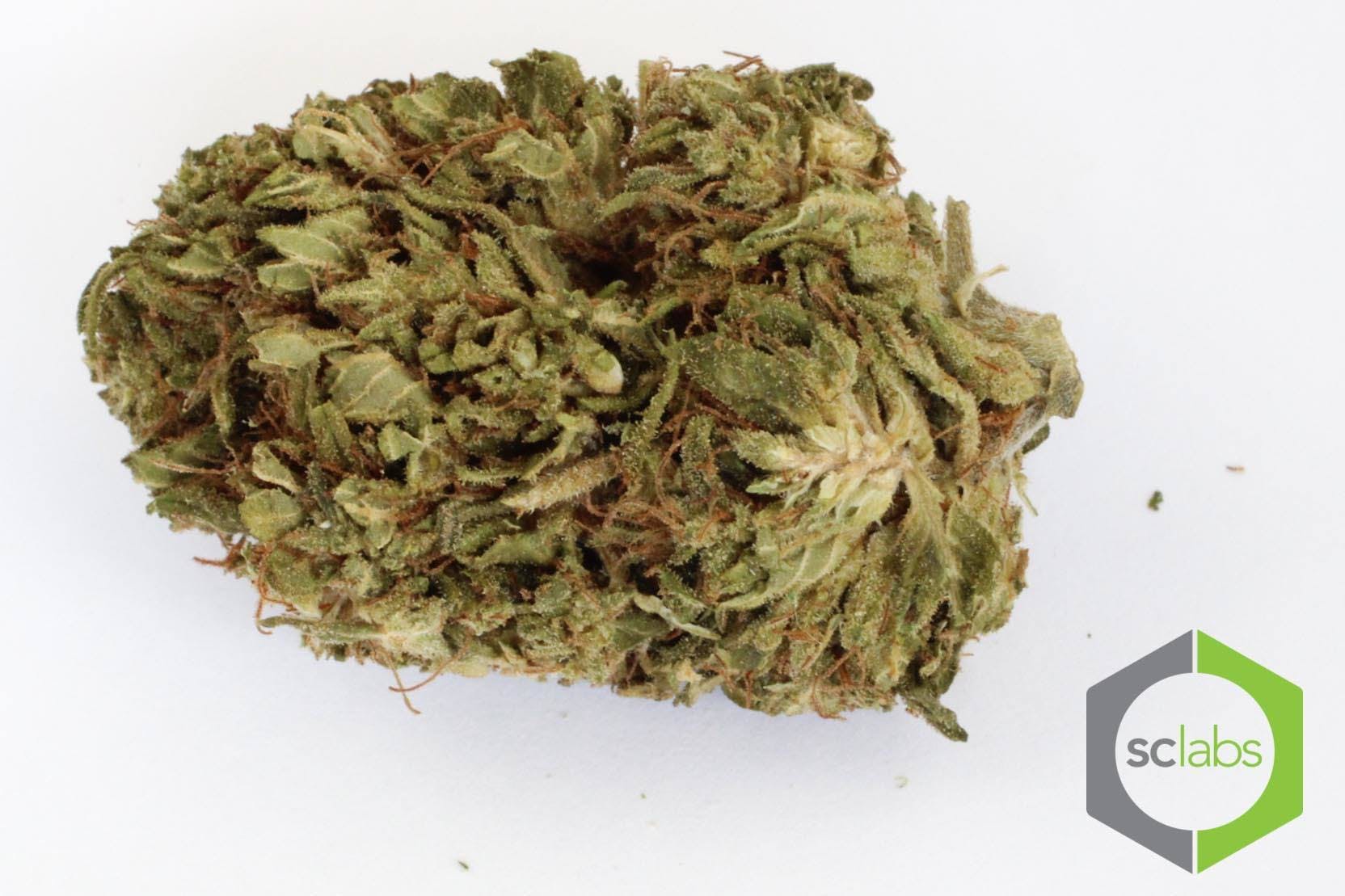 marijuana-dispensaries-1112-e-ash-ave-fullerton-premium-sweet-tart