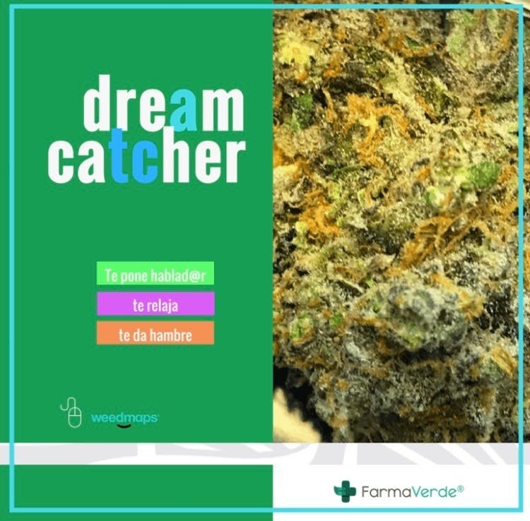 marijuana-dispensaries-road-693-2c-54-boulevard-nogal-dorado-prich-dream-catcher