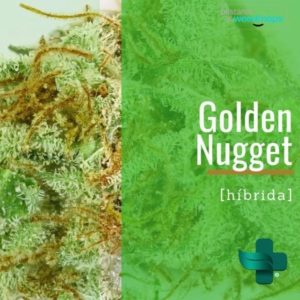 PRICH- Golden Nugget