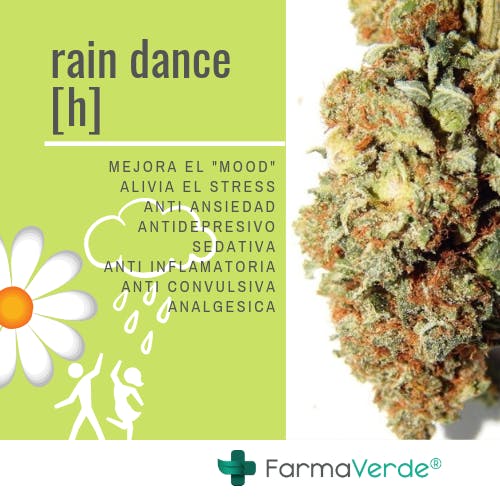 marijuana-dispensaries-road-693-2c-54-boulevard-nogal-dorado-prich-rain-dance