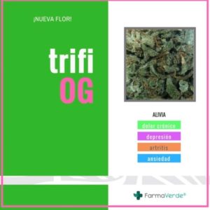PRICH- TriFi OG