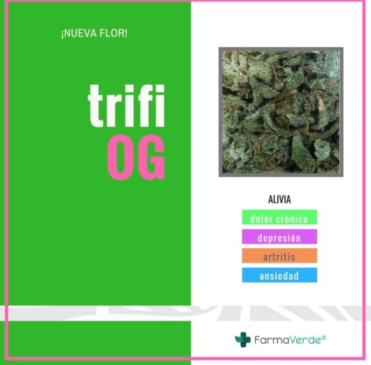 marijuana-dispensaries-road-693-2c-54-boulevard-nogal-dorado-prich-trifi-og