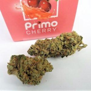 Primo Cherry
