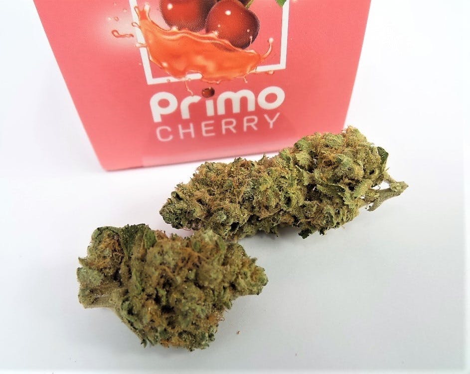 hybrid-primo-cherry