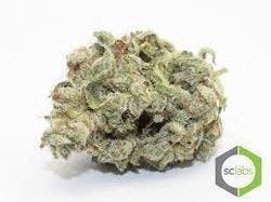 marijuana-dispensaries-25-king-in-los-angeles-private-reserve-gorilla-glue