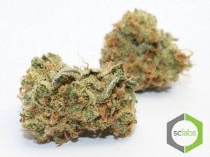 sativa-private-reserve-maui-wowie-5g-for-2430