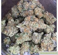marijuana-dispensaries-262-n-parcel-pomona-private-reserve-mr-nice
