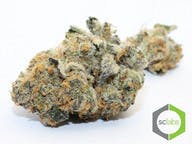 Private Reserve » The Truth [5G @ 50]