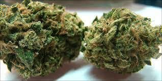 marijuana-dispensaries-365-south-rosemead-blvd-pasadena-private-reserve-redwood-kush
