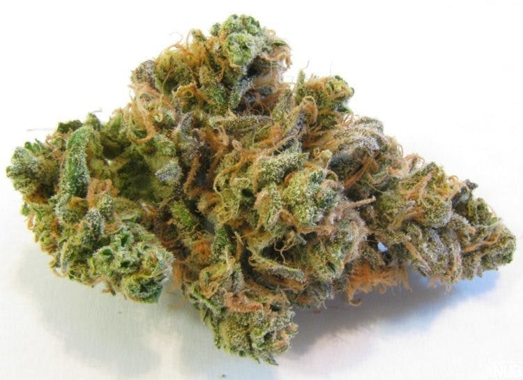marijuana-dispensaries-237-avocado-ave-suite-110-el-cajon-private-reserve-super-sour-diesel