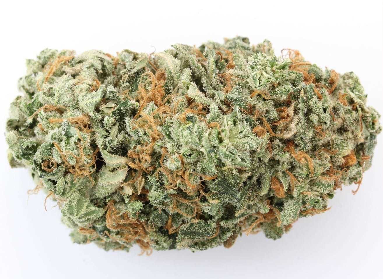 hybrid-private-reserve-white-widow-5g-for-2430