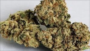 indica-private-reserve-willie-nelson