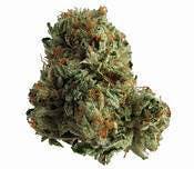 marijuana-dispensaries-8714-vermont-ave-2c-los-angeles-2c-ca-90044-los-angeles-private-reserve5150-og