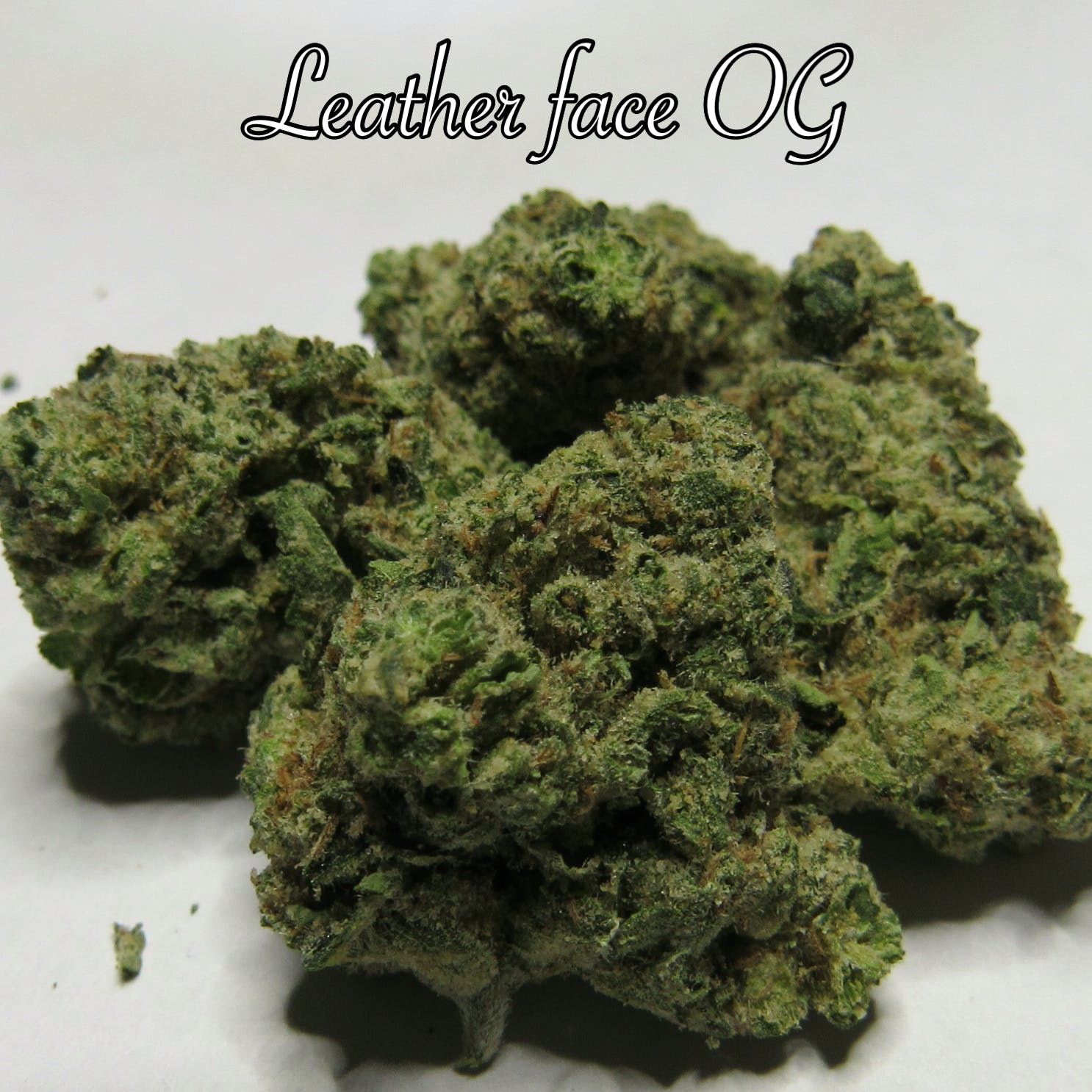 indica-private-reserveleatherface-og