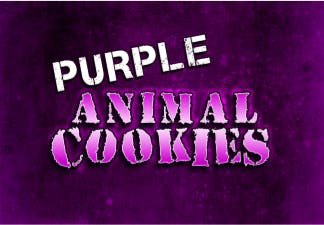 marijuana-dispensaries-cac-farms-rec-shop-2-in-medford-purple-animal-cookies-16-25