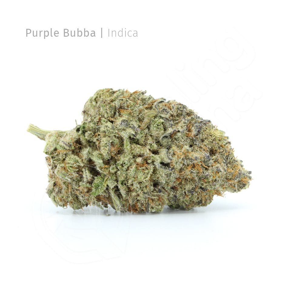 Purple Bubba *NEW House Strain*