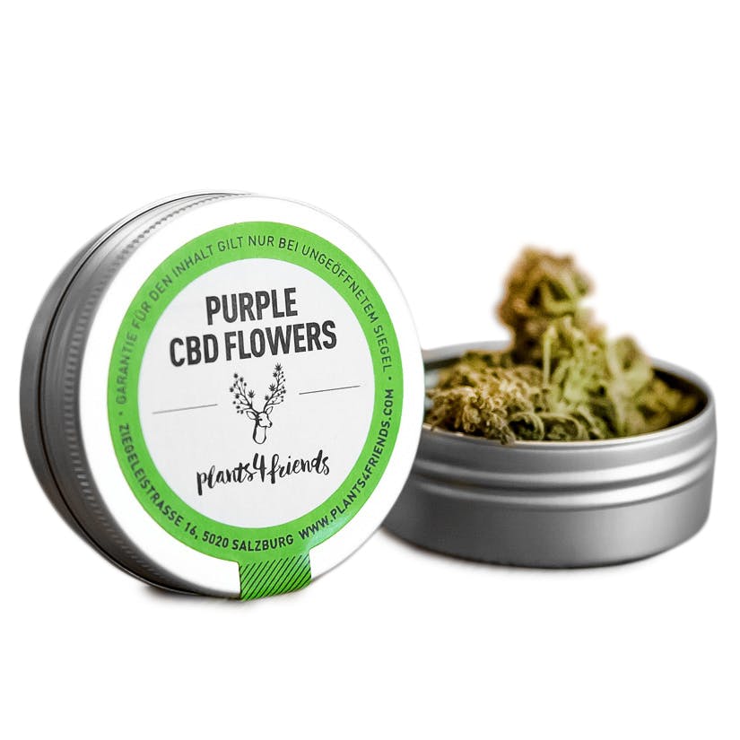 Purple CBD Flowers