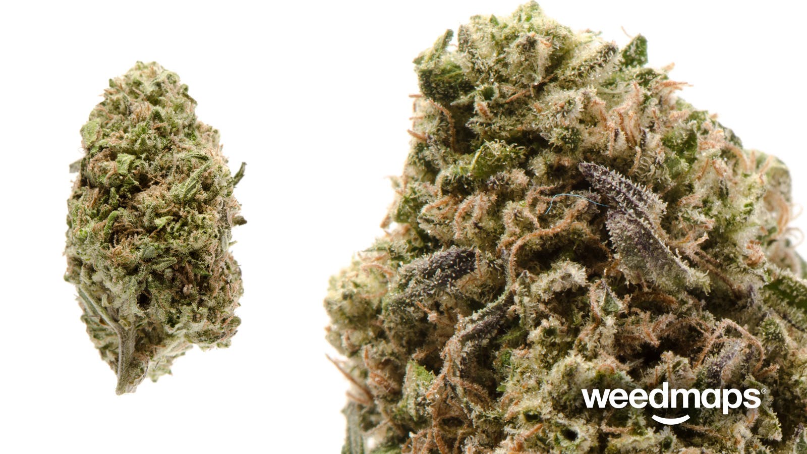 marijuana-dispensaries-the-greener-side-in-eugene-purple-chemdawg