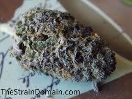marijuana-dispensaries-615-e-lincoln-ave-las-vegas-purple-drank-breath