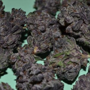 Purple Girl Scout Cookie