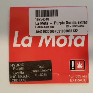 Purple Gorilla by La Mota