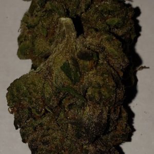 Purple GSC 21.09%THC - Old Gold Gardens