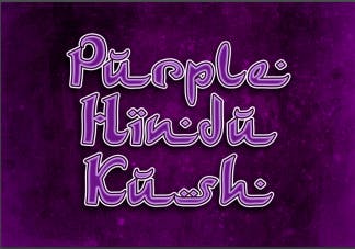 Purple Hindu Kush 21%