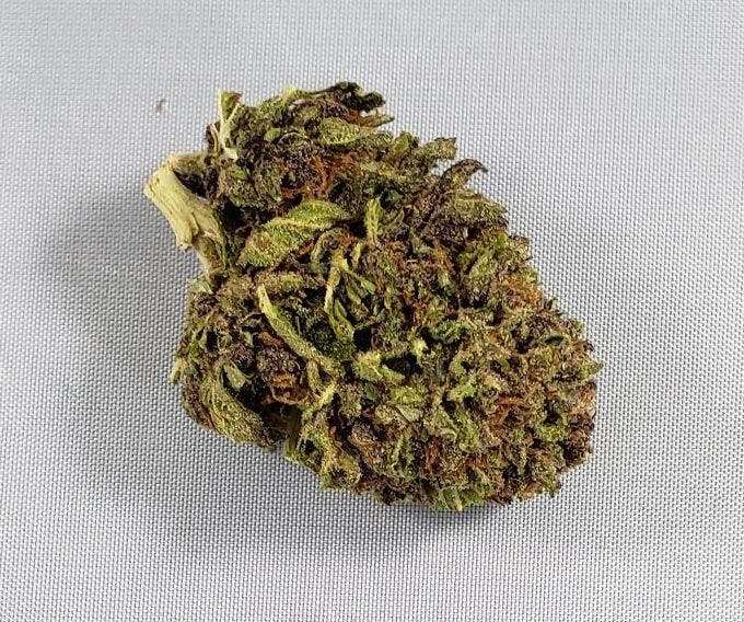 marijuana-dispensaries-oregon-grown-cannabis-in-medford-purple-hindu-kush-by-grown-rogue