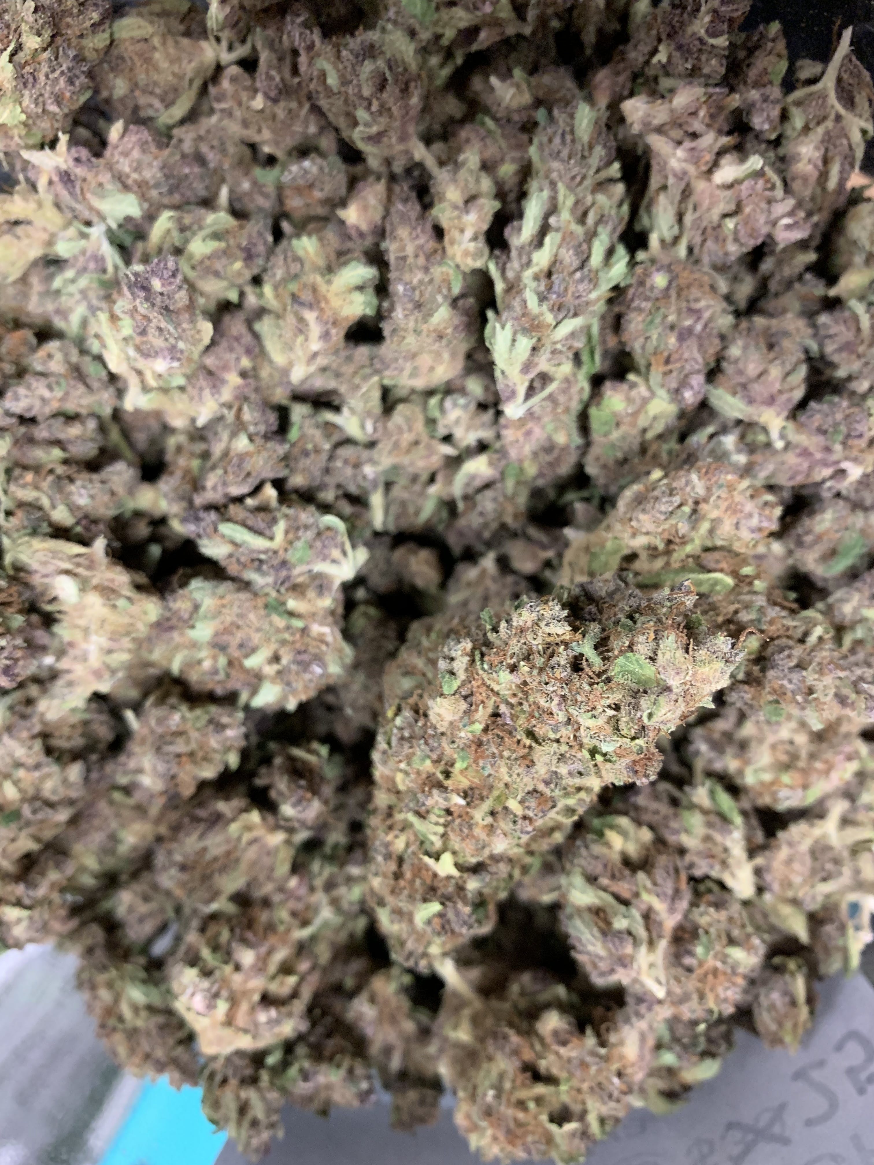 marijuana-dispensaries-platinum-club-in-reseda-purple-jack