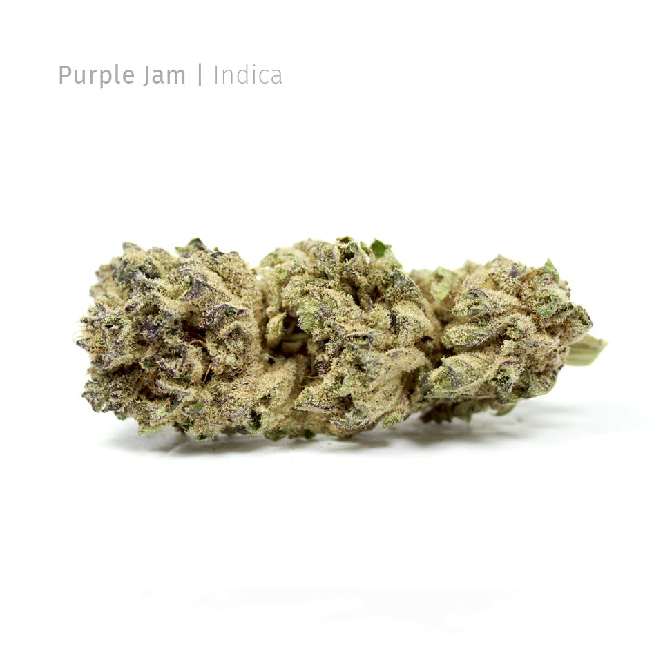 Purple Jam *House Strain*