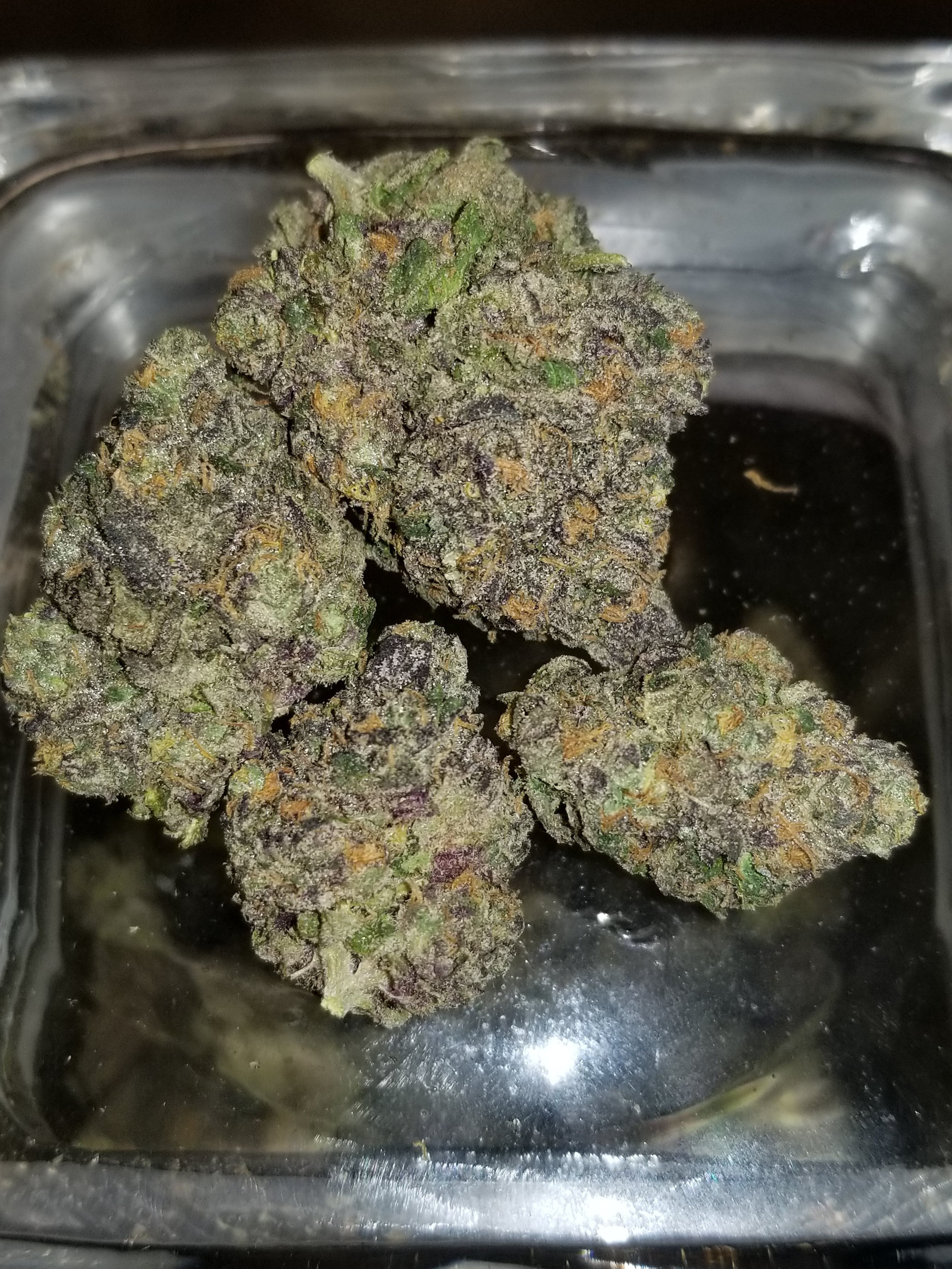 marijuana-dispensaries-752-north-lake-ave-pasadena-purple-king
