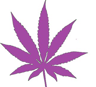 Purple Kush - Indica