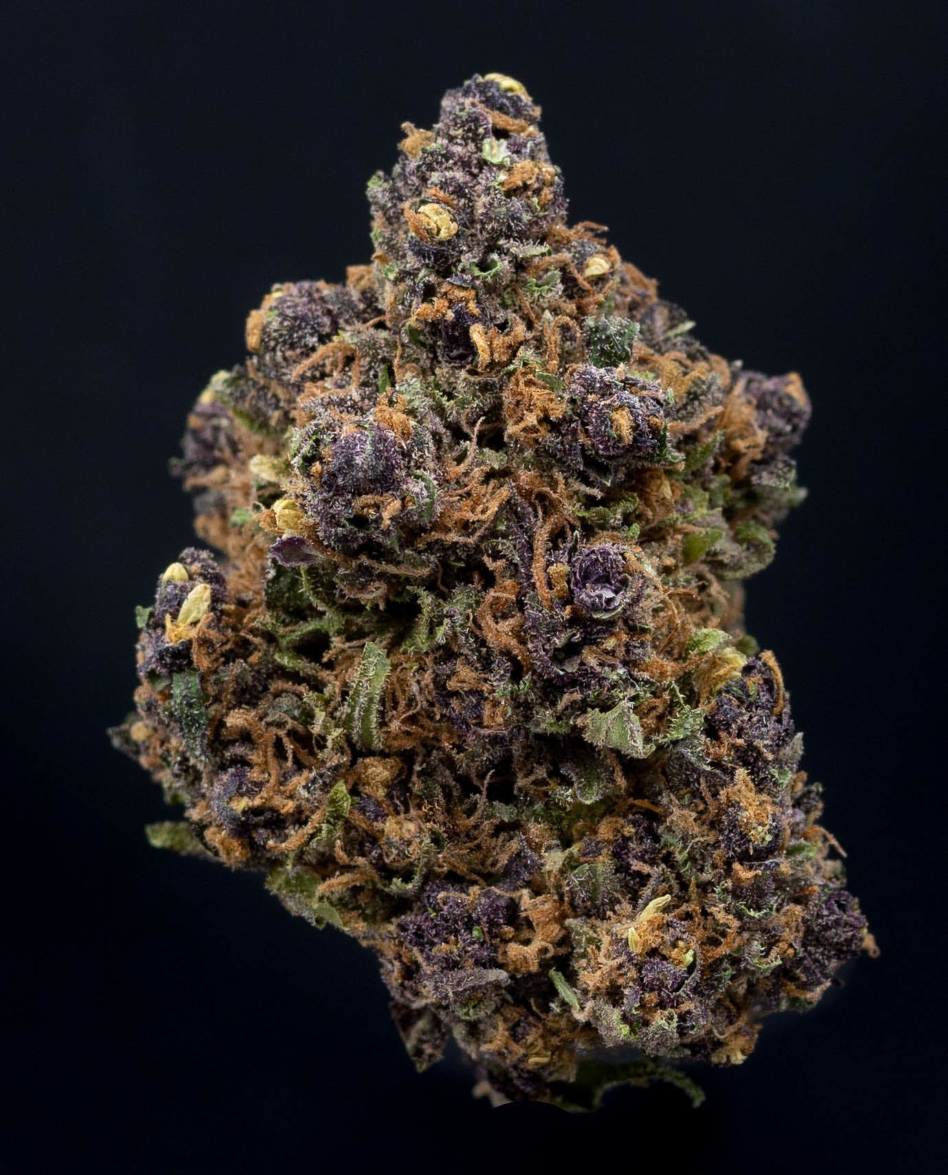 marijuana-dispensaries-1301-ne-broadway-portland-purple-magoo-aroma-farms